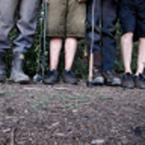 Meet your Posher, Merlin